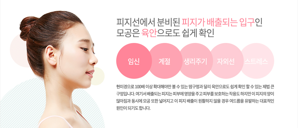 -특징
피지선에서 분비된 피지가 배출되는 입구인 모공은 현미경으로 100배 이상 확대해야만 볼 수 있는 땀구멍과 달리 육안으로도 쉽게 확인 할 수 있는 제법 큰 구멍입니다. 여기서 배출되는 피지는 피부에 영양을 주고 피부를 보호하는 작용도 하지만 이 피지의 양이 많아짐과 동시에 모공 또한 넓어지고 이 피지 배출이 원활하지 않을 경우 여드름을 유발하는 대표적인 원인이 되기도 합니다.
